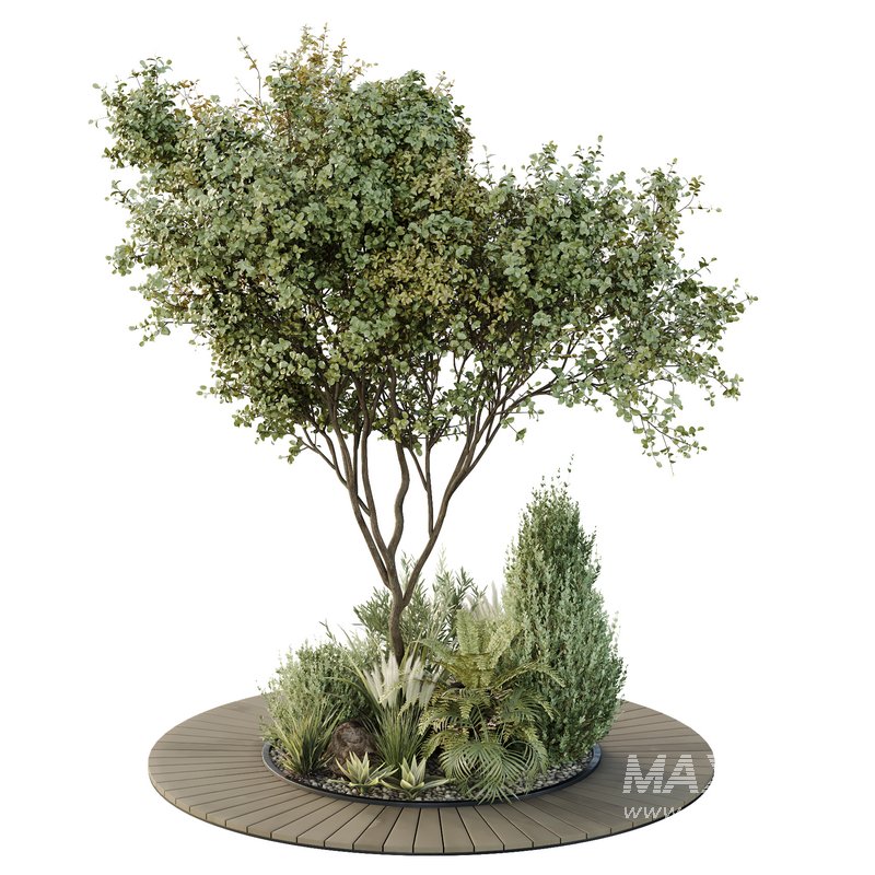 HQ Tree and bush garden box outdoor VOL 16 - Image 3