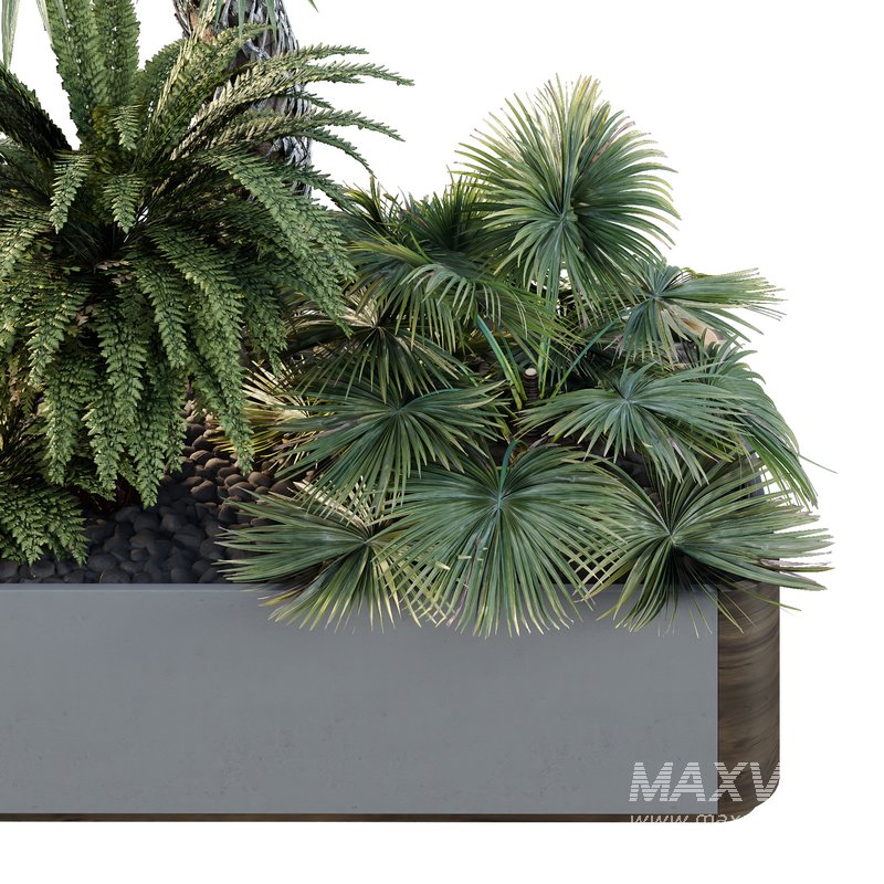 HQ Tree and bush garden box outdoor VOL 12 - Image 4