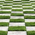 Decorative Floor Grass 02 - Thumbnail 2
