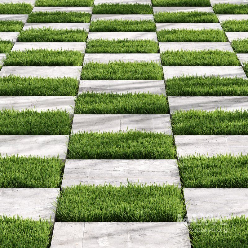 Decorative Floor Grass 02 - Image 2