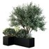 HQ Tree and bush garden box outdoor VOL 13 - Thumbnail 2