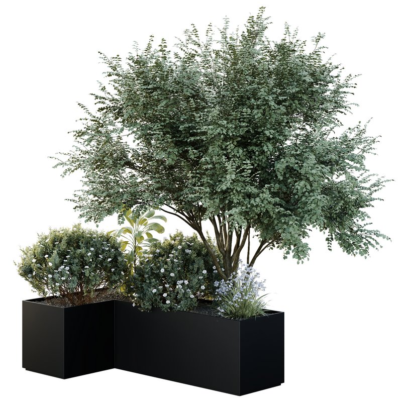 HQ Tree and bush garden box outdoor VOL 13 - Image 2