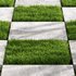 Decorative Floor Grass 02 - Thumbnail 3