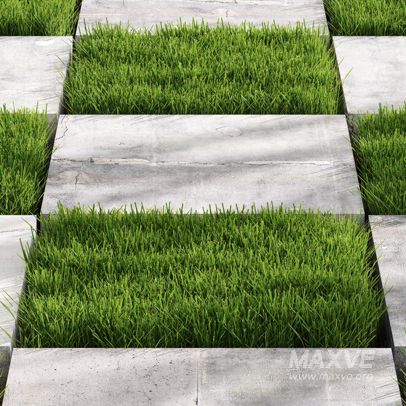 Decorative Floor Grass 02 - Image 3