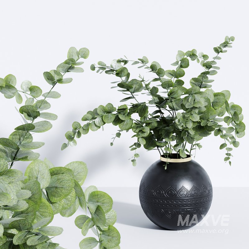 Bouquet Indoor Plant 10 - Image 2