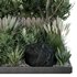 HQ Tree and bush garden box outdoor VOL 17 - Thumbnail 3