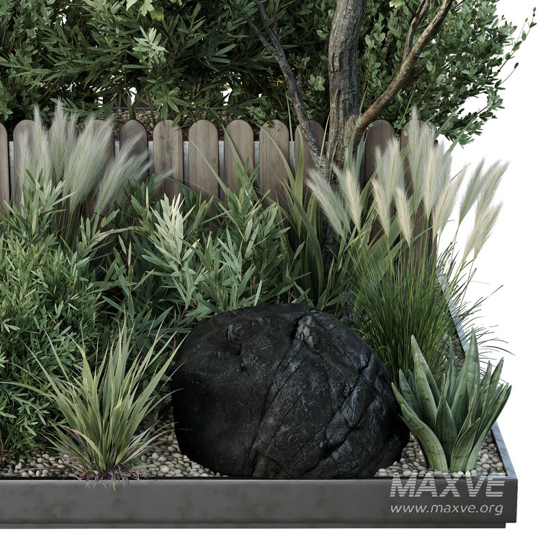 HQ Tree and bush garden box outdoor VOL 17 - Image 3
