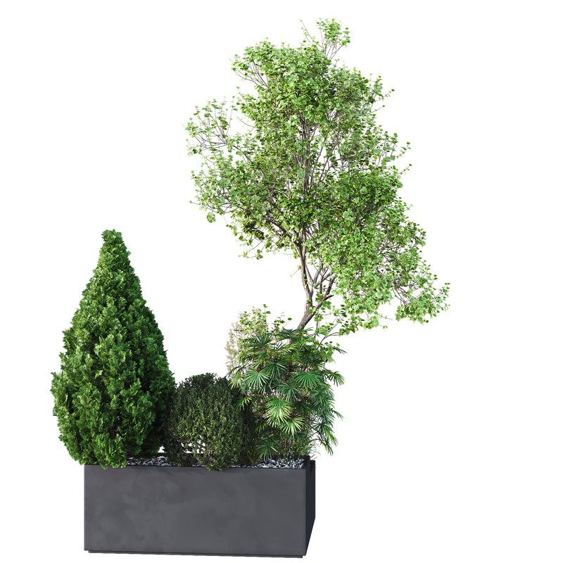 HQ Tree and bush garden box outdoor VOL 05 - Image 2