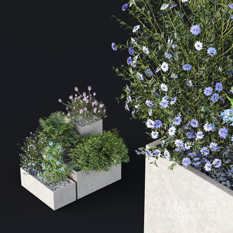 HQ Tree and bush garden box outdoor VOL 07 - Image 4