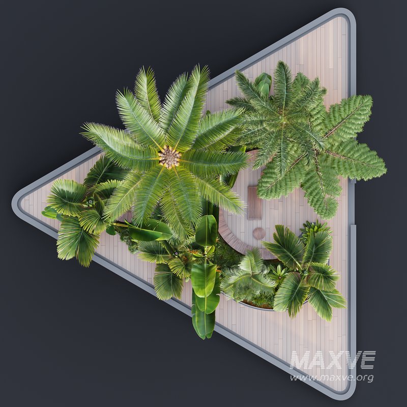 HQ HOTEL Outdoor Plants Set - Image 3