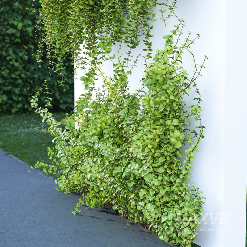 Wall Artificial Hanging Plants-01 - Image 2