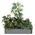 HQ Tree and bush garden box outdoor VOL 12 - Thumbnail 2
