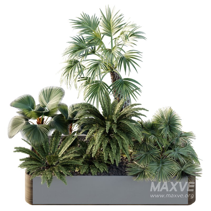 HQ Tree and bush garden box outdoor VOL 12 - Image 2