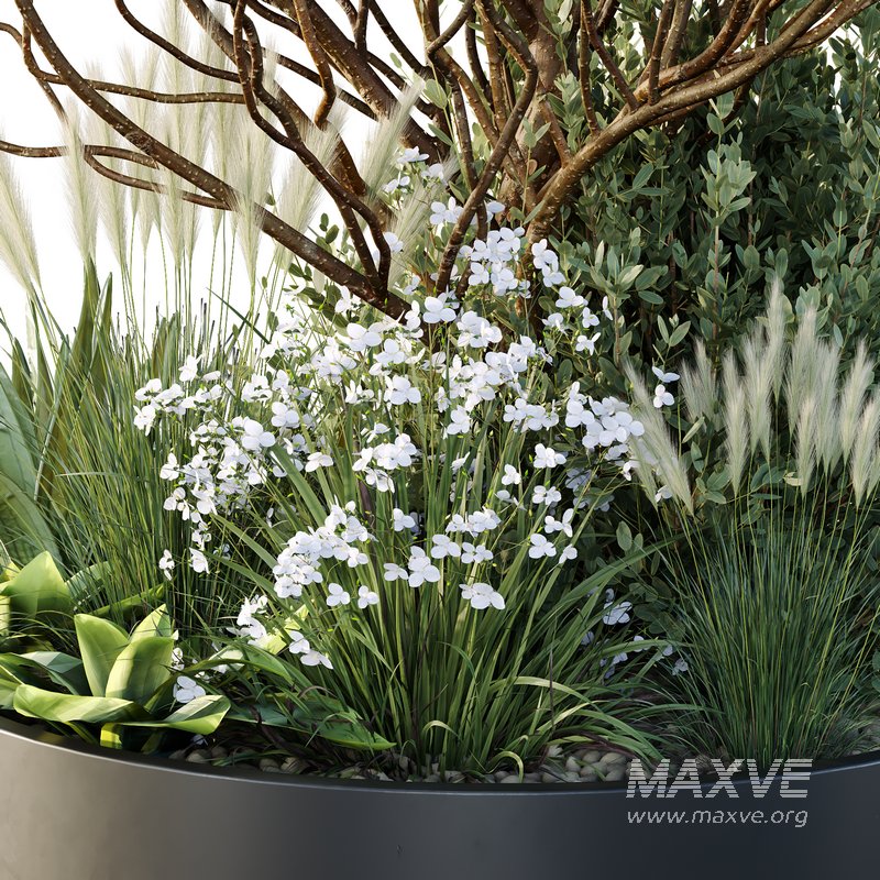 HQ Tree and bush garden box outdoor VOL 21 - Image 4