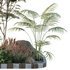HQ Tree and bush garden box outdoor VOL 14 - Thumbnail 3