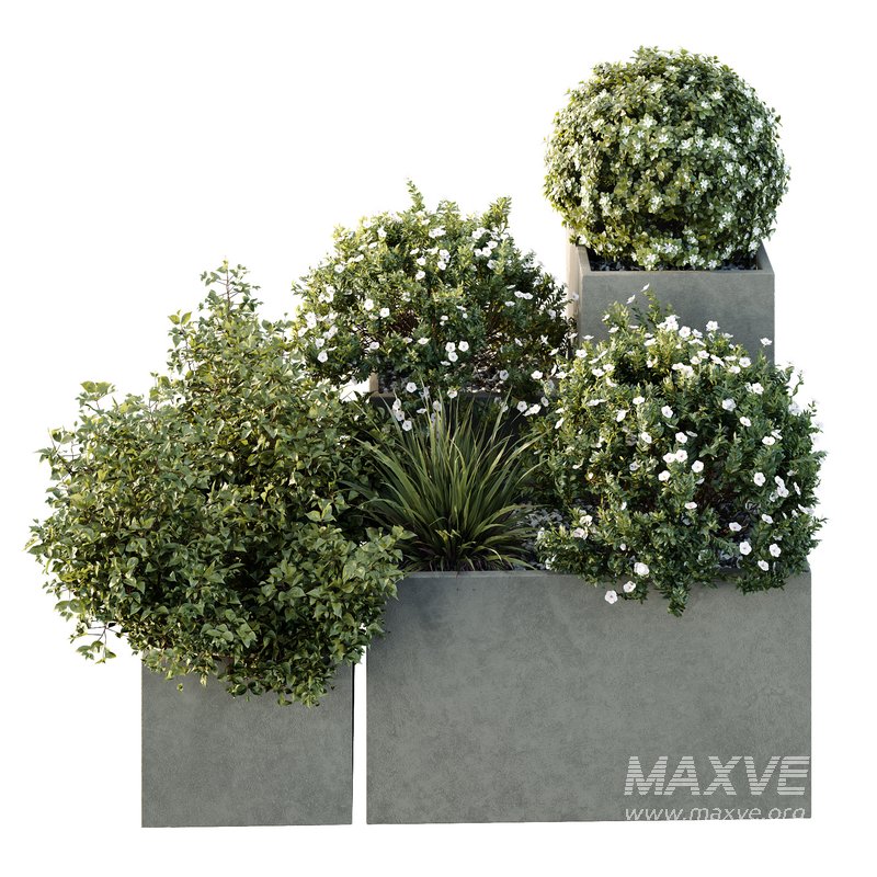 HQ Tree and bush garden box outdoor VOL 10 - Image 3
