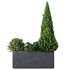 HQ Tree and bush garden box outdoor VOL 04 - Thumbnail 2