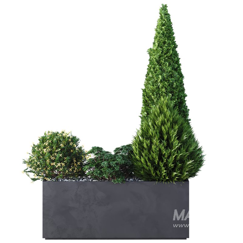 HQ Tree and bush garden box outdoor VOL 04 - Image 2