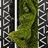 Vertical Garden – Female Enticing MossWall - Thumbnail 2