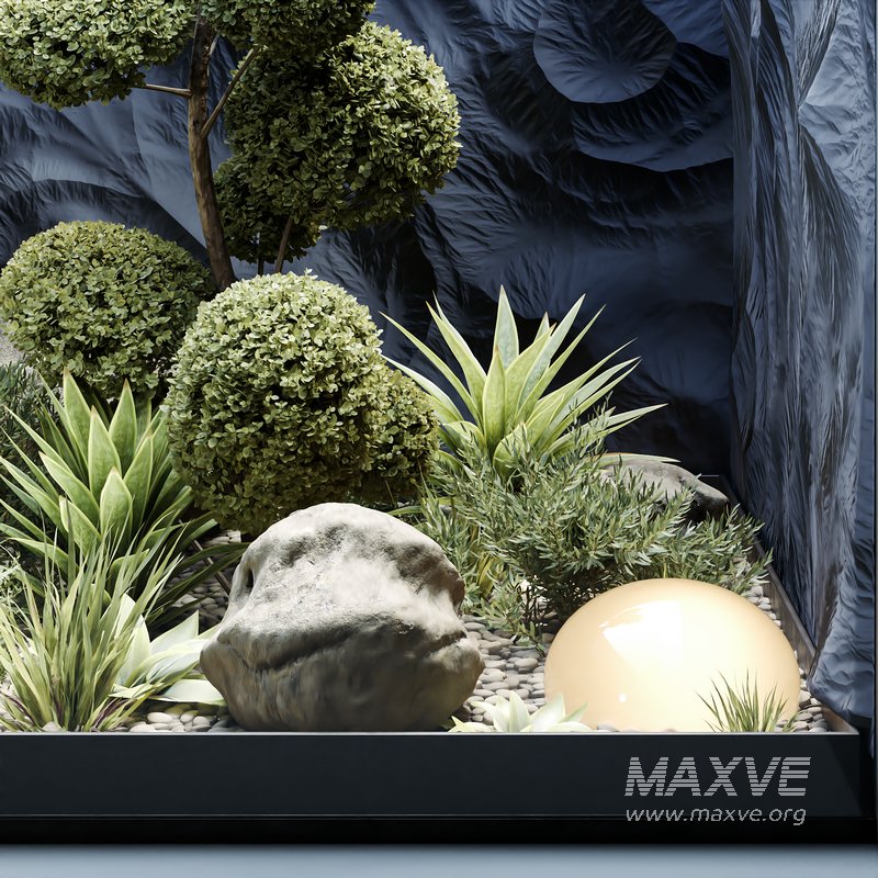 HQ Plants Indoor Set Box Glass - Image 3