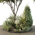 HQ Tree and bush garden box outdoor VOL 16 - Thumbnail 5