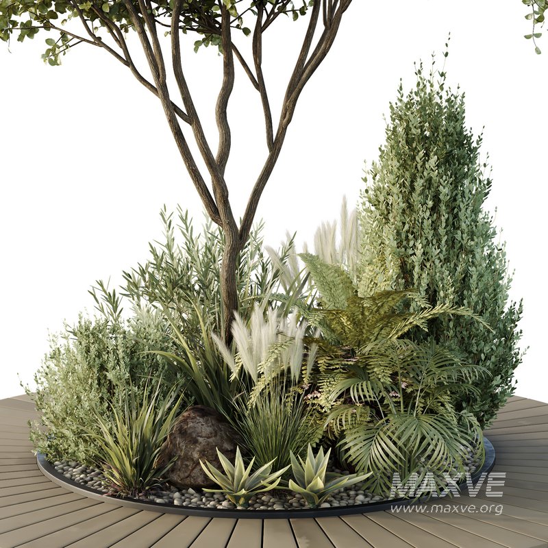 HQ Tree and bush garden box outdoor VOL 16 - Image 5