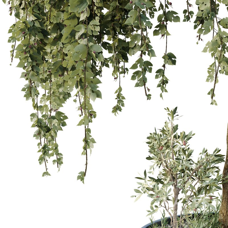 HQ Urban environment set of green plant benches 05 - Image 3