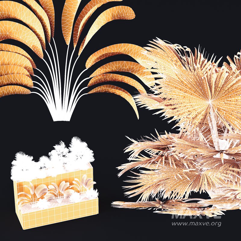 HQ Tree and bush garden box outdoor VOL 11 - Image 4