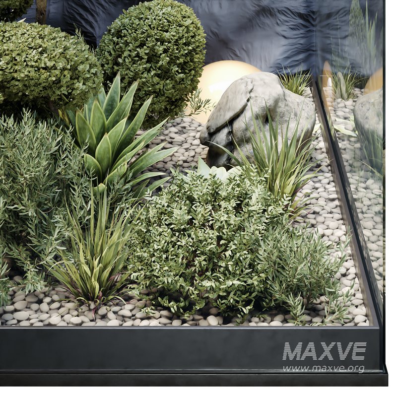 HQ Plants Indoor Set Box Glass - Image 5