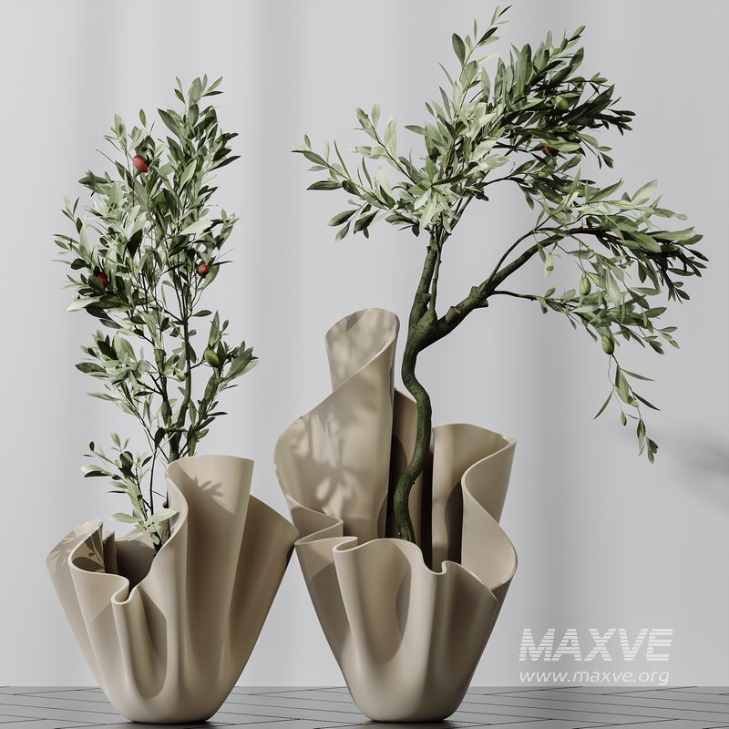 Plants Mission Olive Tree Indoor Vase Set002 - Image 3
