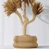 Plants Yucca Elephantipes Gigantea Vase Set01 - Thumbnail 5
