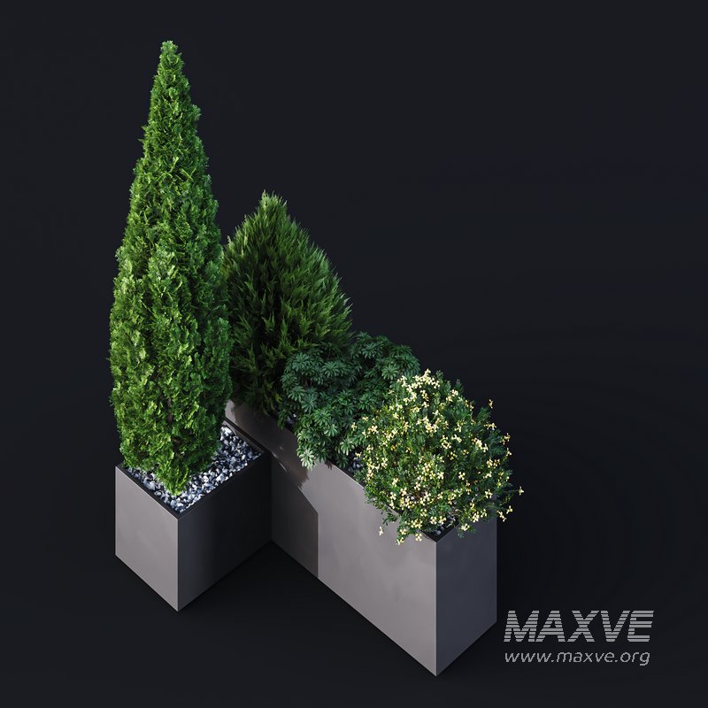 HQ Tree and bush garden box outdoor VOL 04 - Image 4