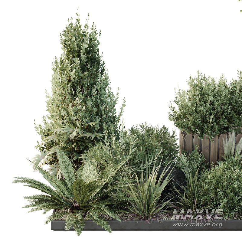 HQ Tree and bush garden box outdoor VOL 17 - Image 4