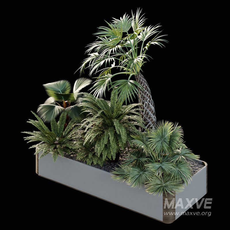 HQ Tree and bush garden box outdoor VOL 12 - Image 3