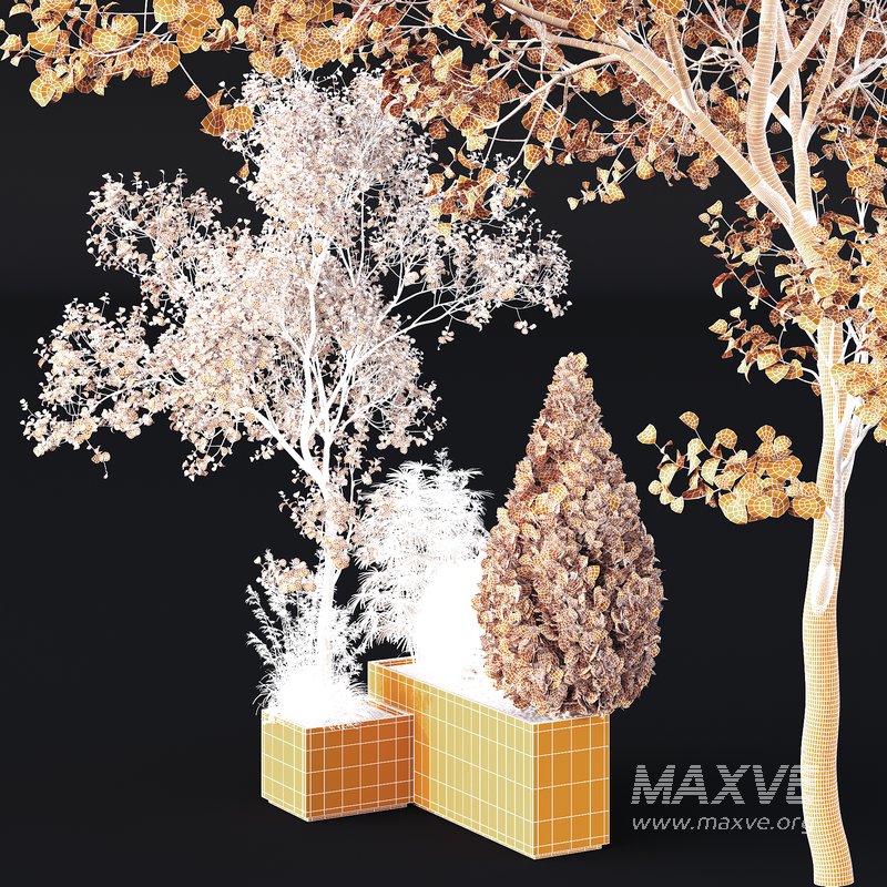 HQ Tree and bush garden box outdoor VOL 05 - Image 4