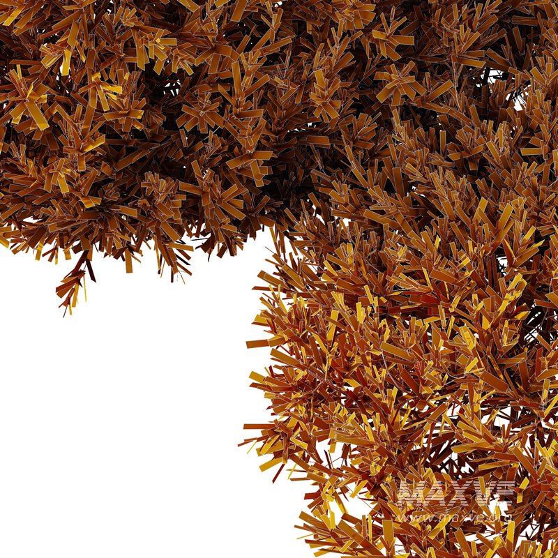 Montra Olive Bush02 - Image 3