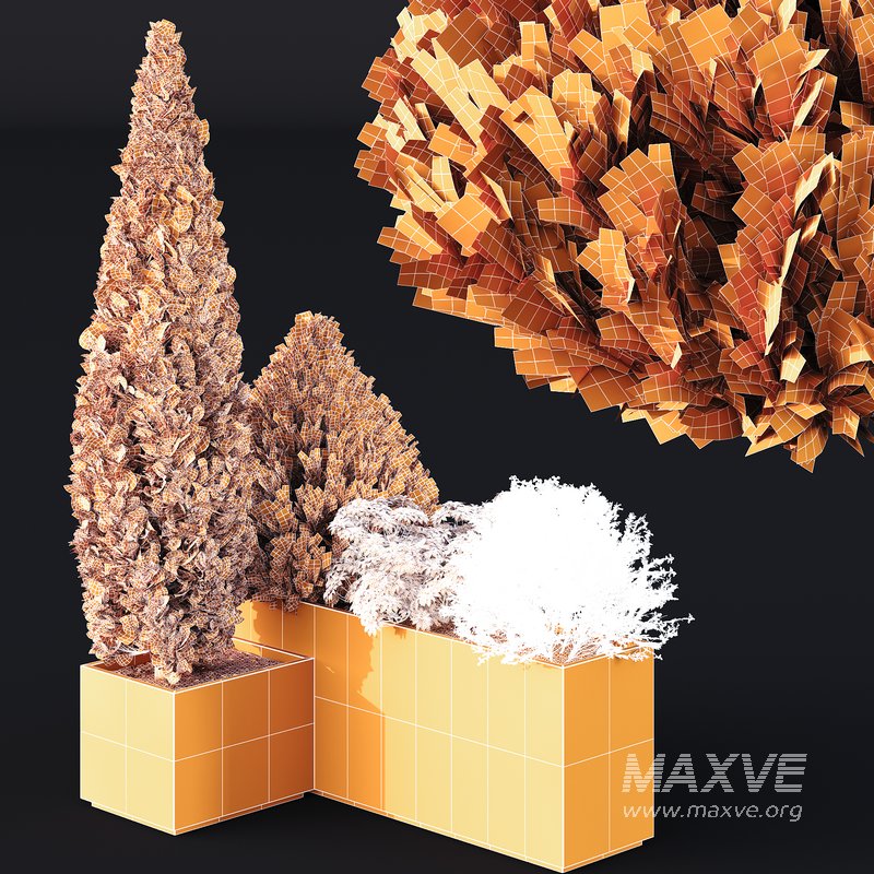 HQ Tree and bush garden box outdoor VOL 04 - Image 5