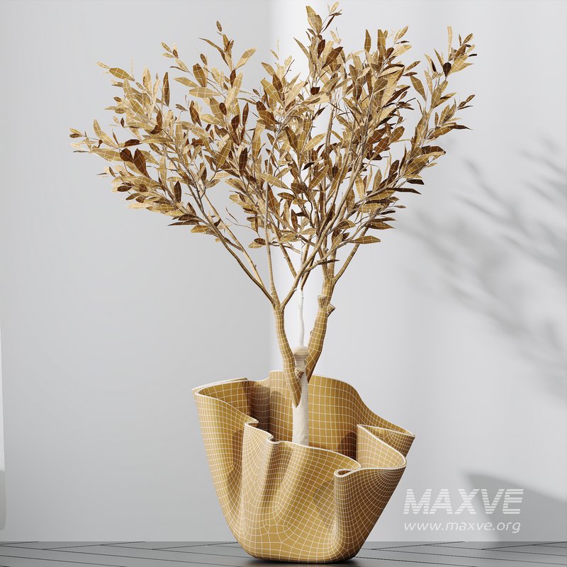 Plants Mission Olive Tree Indoor Vase Set002 - Image 4