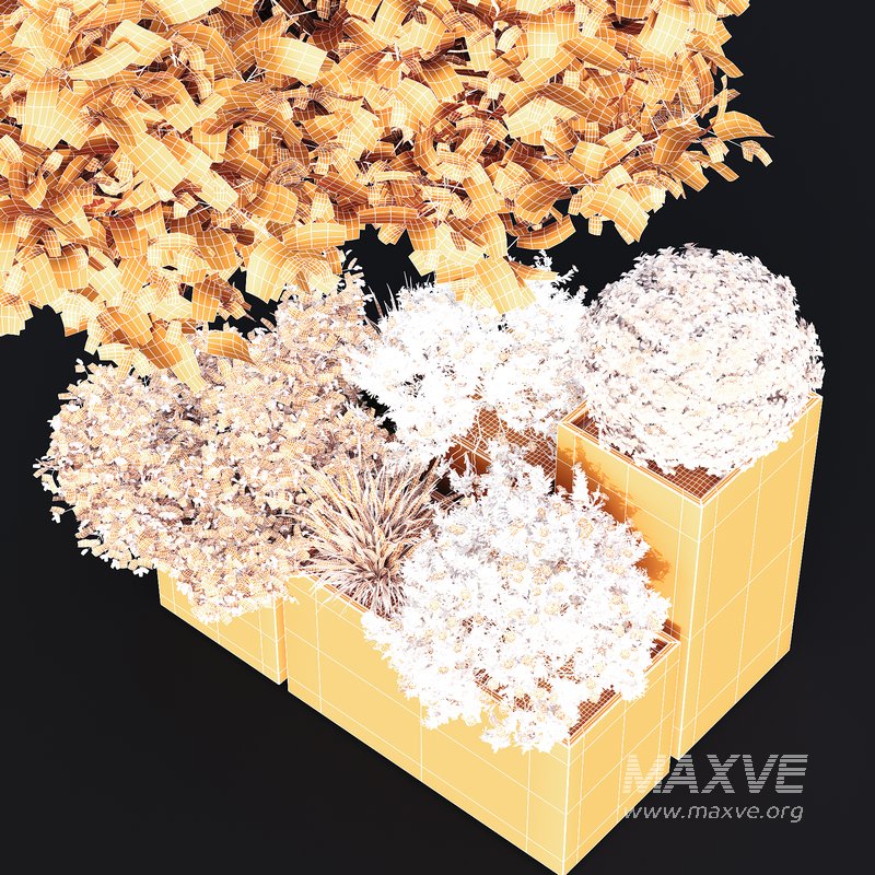 HQ Tree and bush garden box outdoor VOL 10 - Image 5