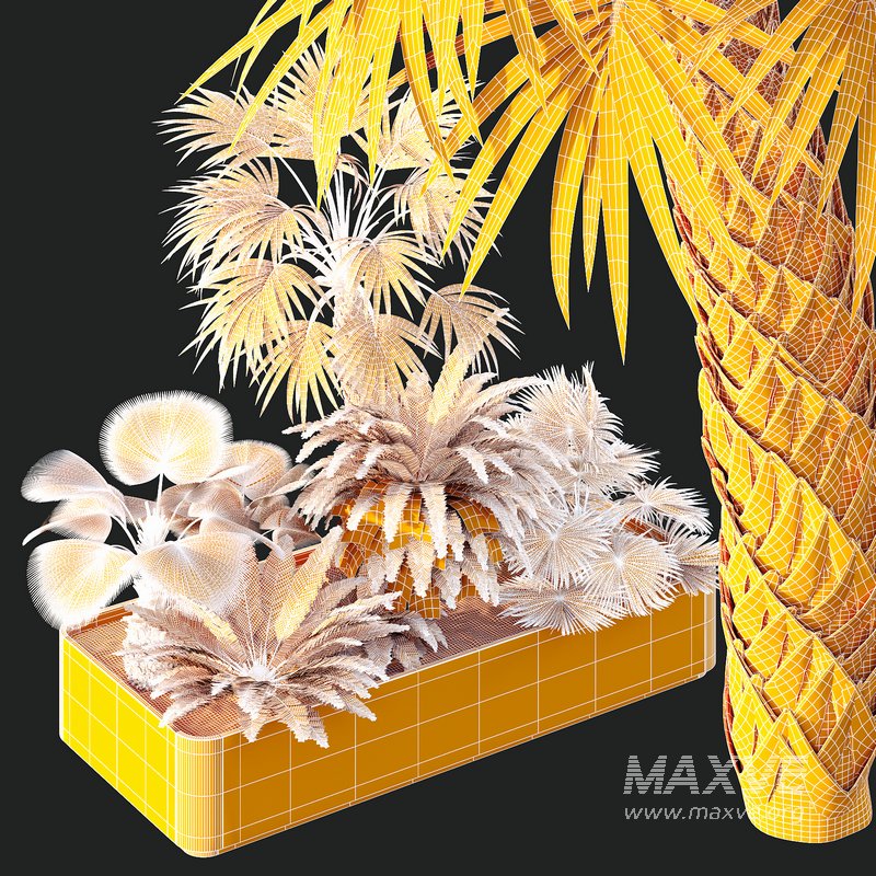 HQ Tree and bush garden box outdoor VOL 12 - Image 5