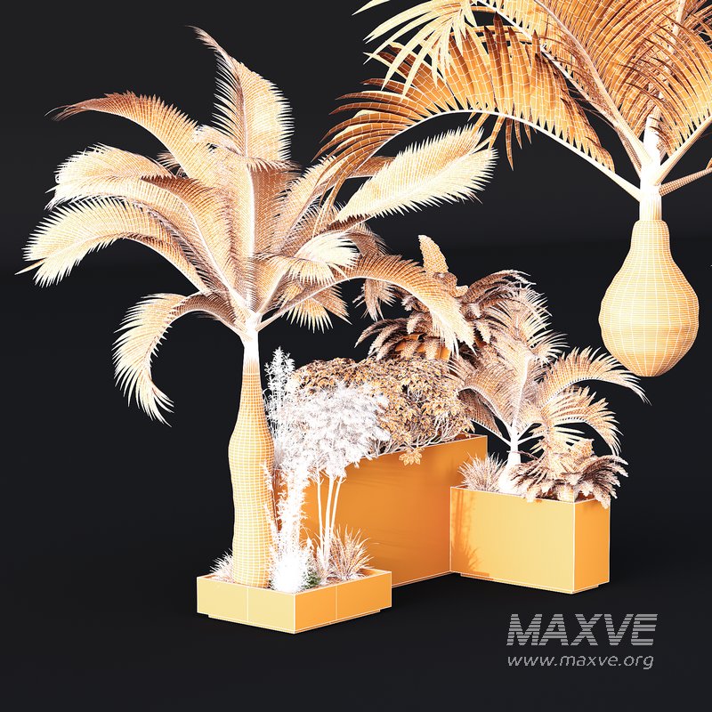 HQ Tree and bush garden box outdoor VOL 09 - Image 5