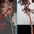 Betula Pendula and Castanea Sativa - Thumbnail 4