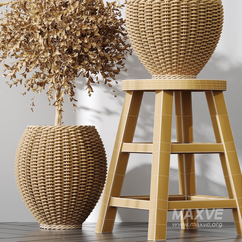 Plants Mission Olive Tree Indoor Vase Set004 - Image 4