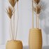HQ Plants Yucca Elephantipes Gigantea Vase Set03 - Thumbnail 5