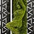 Vertical Garden – Female Enticing MossWall - Thumbnail 5