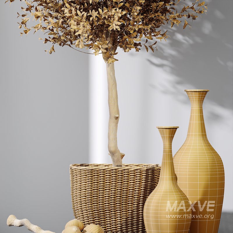 HQ Plants Mission Olive Tree Indoor Vase Set005 - Image 4