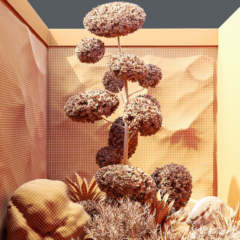 HQ Plants Indoor Set Box Glass - Image 4