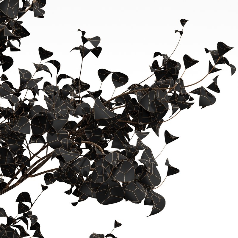 Acer Pseudoplatanus and Saccharinum Spring - Image 3