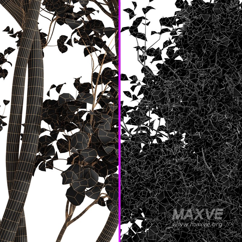 Bush Leaf 4 trees - Image 7