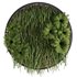 Circle Green Wall Plants - Thumbnail 1